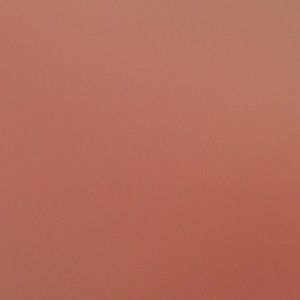 Meet your Posher, Davis